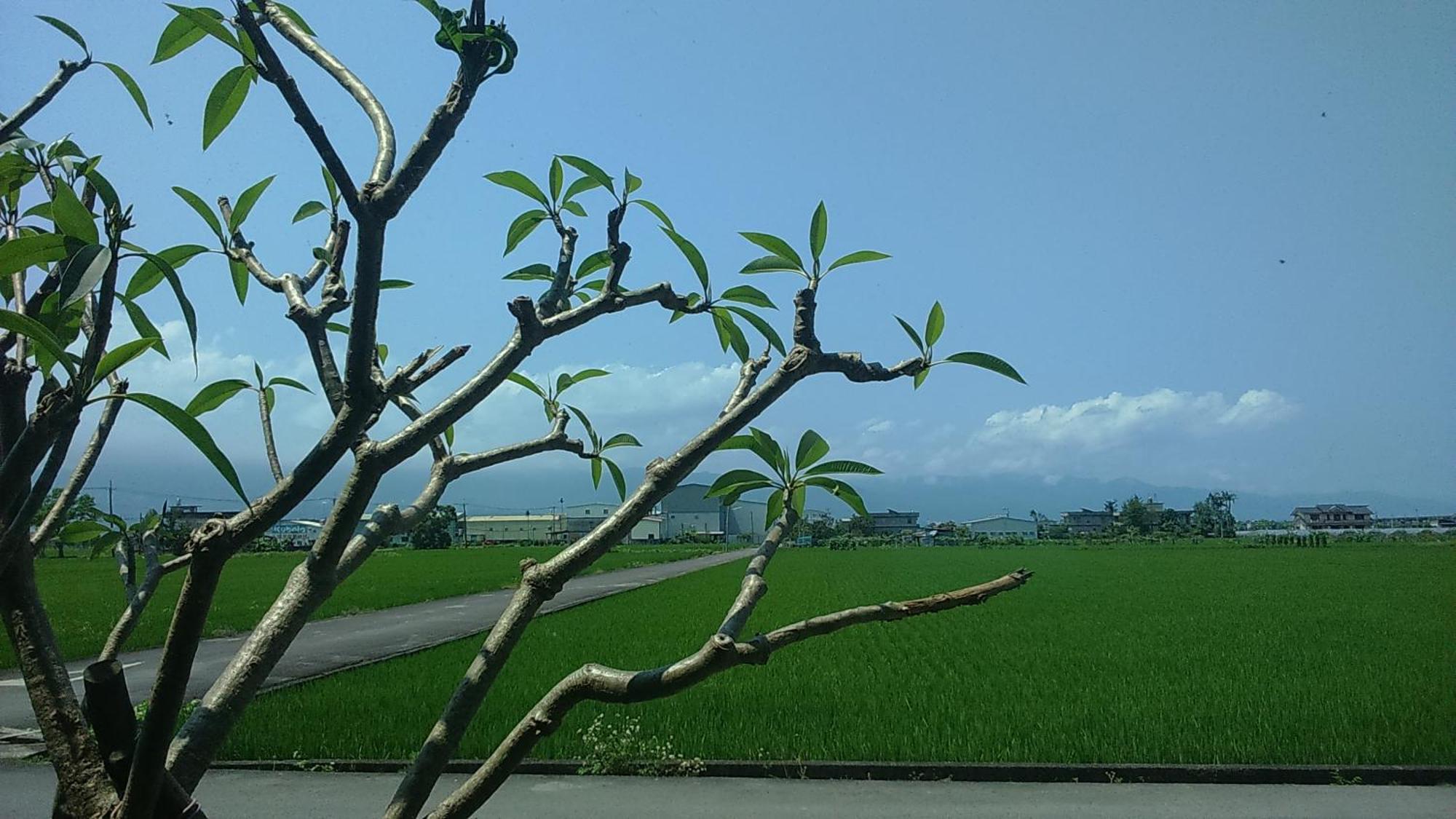 Countryside B&B Zhuangwei Exterior photo